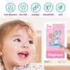 Personalized Custom Flash Cards Printing Service | ABPro Print Custom flash cards printing for educational purposes and interactive learning for children