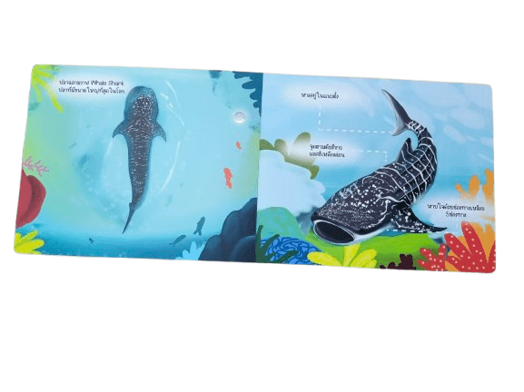 Colorful custom sound books for children tailored for authors and book retailers