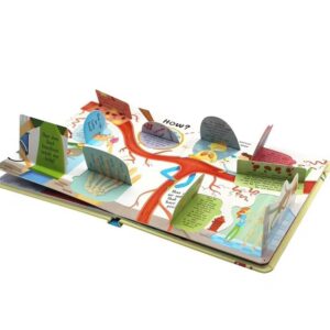 Custom Flap Book Cover Design custom flap book cover and finishing options